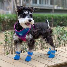 kopek ayakkabi dog shoes shoe boots rain boots