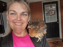 Cutie baby chick visits living room window