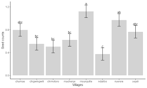 Image result for Astripomoea hyoscyamoides