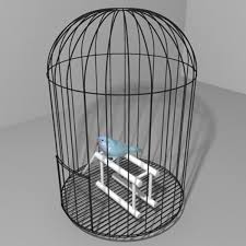 3d Parakeet Cage 3d Model Parakeet Cage Parakeet 3d Model