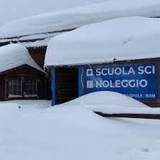 Dalla vetta del mottarone parte alpyland la slittovia del mottarone, 1,2 km di pista, un puro divertimento per grandi e piccini. Scuola Sci Stella Alpina Mottarone Services Facebook