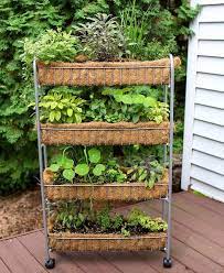 The seedlings, potting soil and pots are very inexpensive too. 15 Wonderful Vertical Garden Ideas Designs With Pictures Vertical Herb Gardens Small Herb Gardens Vertical Garden Diy