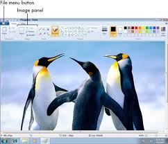 How To Resize And Crop A Photo In Windows 7 S New Paint Application Microsoft Paint Photoshop Online Penguin Images