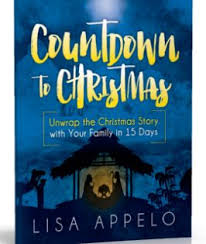 Countdown To Christmas E Book Available Now A Christmas Story Christmas Books Christmas Devotional