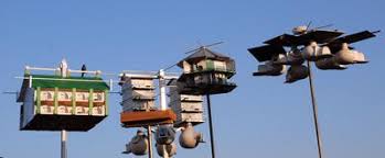 Enjoy the beautiful presence of musical purple martins living in your cedar purple martin house. Western Red Cedar Purple Martin House