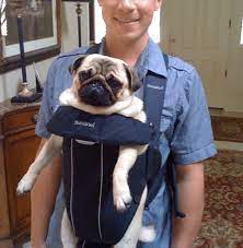 Baby Wrap Carrier For Dogs Free Shipping Available