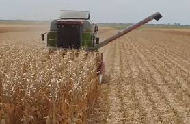 Maybe you would like to learn more about one of these? Stiri De Ultima Ora Si Ultimele Stiri Stiri Online Mediafax