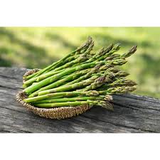 Image result for Asparagus petersianus