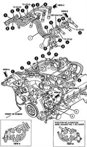 Fuse panel layout diagram parts: 2000 Grand Marquis Engine Diagram Wiring Diagram And Goat Rule Goat Rule Rennella It