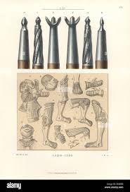 Image result for Kotschya capitulifera