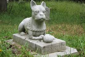 Calling city information just gets you a reference to multnomah county burial guidelines, and the county says it's fine as long as you wrap the deceased in heavy plastic, put them in a wooden or. Burying A Pet In Your Garden Could See You Fined 5 000 Belfast Live