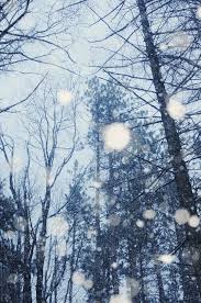 Falling snow isolated falling snowflakes vector winter snow isolated snowflakes effect falling snow overlay snowflakes falling snow flakes snow falling transparent background holiday transparent. Snow Falling By Chelsea Victoria