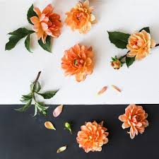 We did not find results for: From You Flowers Linkedin