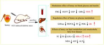 Combination Of Honey With Metformin Enhances Glucose Metabolism And Ameliorates Hepatic And Nephritic Dysfunction In Stz Induced Diabetic Mice Food Function Rsc Publishing