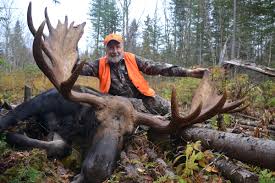 Maybe you would like to learn more about one of these? Maine Moose Hunts Tylor Kelly Camps