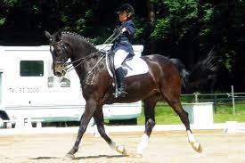 Maybe you would like to learn more about one of these? Reiten Mit Handicap Pferdemagazin