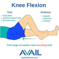 Pin On Knee Replacement