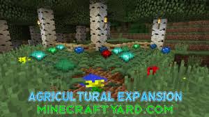 Currently, that is all there is too it. Agricultural Expansion 1 17 1 1 16 5 1 15 2 1 14 4 Minecraft Yard