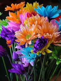 Pin On Flowers