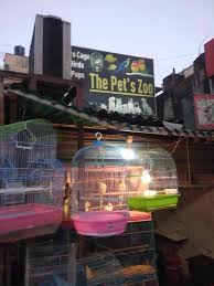 We did not find results for: Top 100 Pet Shops In Patna Best Pet Store Suppliers Justdial