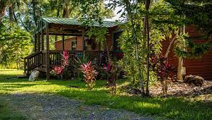 Maybe you would like to learn more about one of these? Weeki Wachee Waterfront Cabin Vacation Rental The Kayak Shack Kayak Rentals