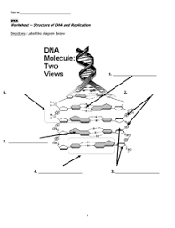 Check spelling or type a new query. Study Documents Essay Examples Research Papers Course Notes And Other Studyres Com Studyres