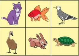 Baby animals coloring pages via coloringpicpages.blogspot.com. Coba Sebutkan Makanan Hewan Peliharaan Pada Gambar Di Atas Kelas 2