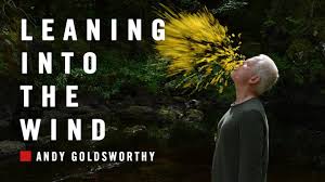 ã€Œandy goldsworthyã€çš„åœ–ç‰‡æœå°‹çµæžœ