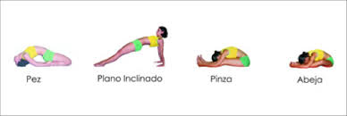 Resultado de imagen para YOGA INTEGRAL, IMAGEN DE POSTURA DE CAMELLO , DELFIN Y PERRO