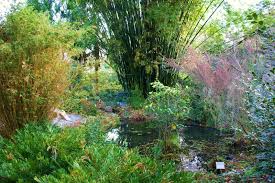 Buyers will be advised of the date orders will be ready for pickup and payment will be needed when orders are placed. Kanapaha Botanical Gardens