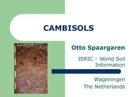 In malaysia, soil erosion and nutrient losses have become an important environmental problem in recent years, especially in areas figure 1: Map 1 Soils Of Peninsular Malaysia And Sarawak Ppt Video Online Download