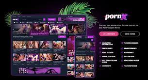 How To Start A Porn Site In 2024 | Step-By-Step Guide | Vicetemple