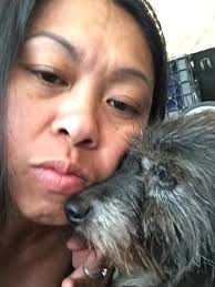 My beautiful Rosie has gone. The pain is almost unbearable. Fly high my  angel. You will be so so missed.