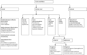 Acute renal failure is a rapid condition (almost less than 2 days). Acute Renal Failure The Lancet