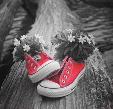 Black And White Photography With Red Color Splash Splash Of Color Color Splash Red Color Splash Photo Color Splash Photography