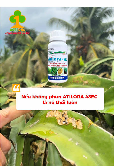 Atilora 48EC