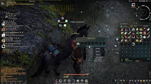 To get a camel mount you will need to have a level 26 or higher (any tier) horse, but the higher the tier of horse the more seals you will receive in exchange. Mounts Getting Leveling Gearing Up Black Desert Information