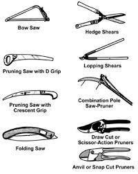 The pruning wounds also heal the best at this time and it's also easier to see the buds to work around them. How To Prune Fruit Trees Pruning Made Easy Dengarden