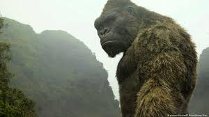 Get it as soon as thu, feb 25. Vietnam To Open King Kong Film Set Dw Travel Dw 11 04 2017