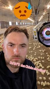 Kaiser Heizung Sanitär Elektro