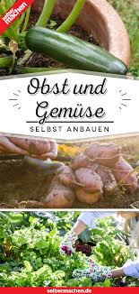 Du Willst Gemuse Selber Anbauen Wir Verraten Dir Was Du Beachten Musst Im Garten Und Auf Dem Balkon Im Ho In 2020 Gemuse Anbauen Obst Und Gemuse Kartoffeln Anbauen