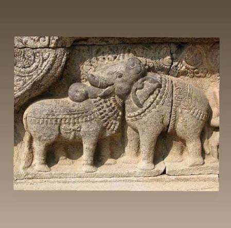 Notice the delineation of the face of the bull and the elephant are merged in such a way that it can be viewed as the face of the bull as also the
