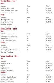 Beginners Muscle Building Workout Free Fitness Tips Workout Plan Gym Workout Routine For Men Weight Training Workouts