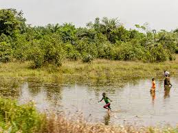 The Safety Net of Land