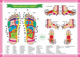 Free Reflexology Charts Points For Specific Ailments