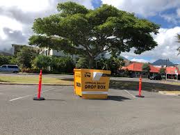 Last Minute Tips To Make Sure Your General Election Vote Counts In Honolulu Honolulu Magazine