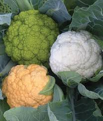 All About Cauliflower Cauliflower Vegetable Vegetables Growing Cauliflower