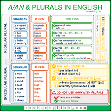 A An Plurals Singular And Plural Forms