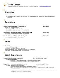 catchy resume objective examples free