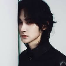 Wang Duo 汪铎FANPAGE